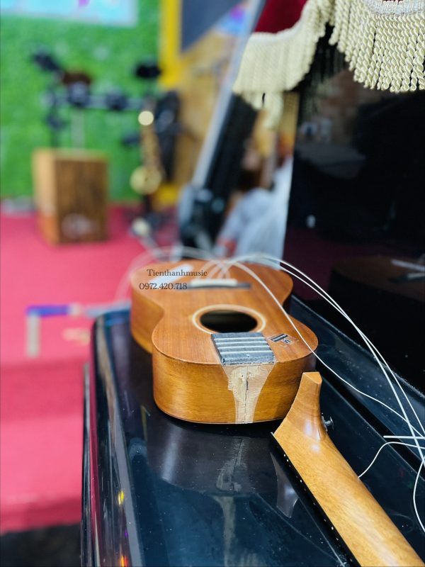 Trang web mới
