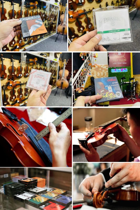 Trang web mới